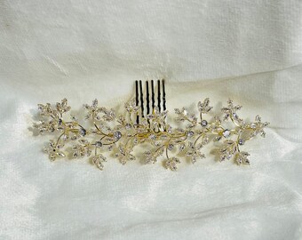 Anastasia Haircomb