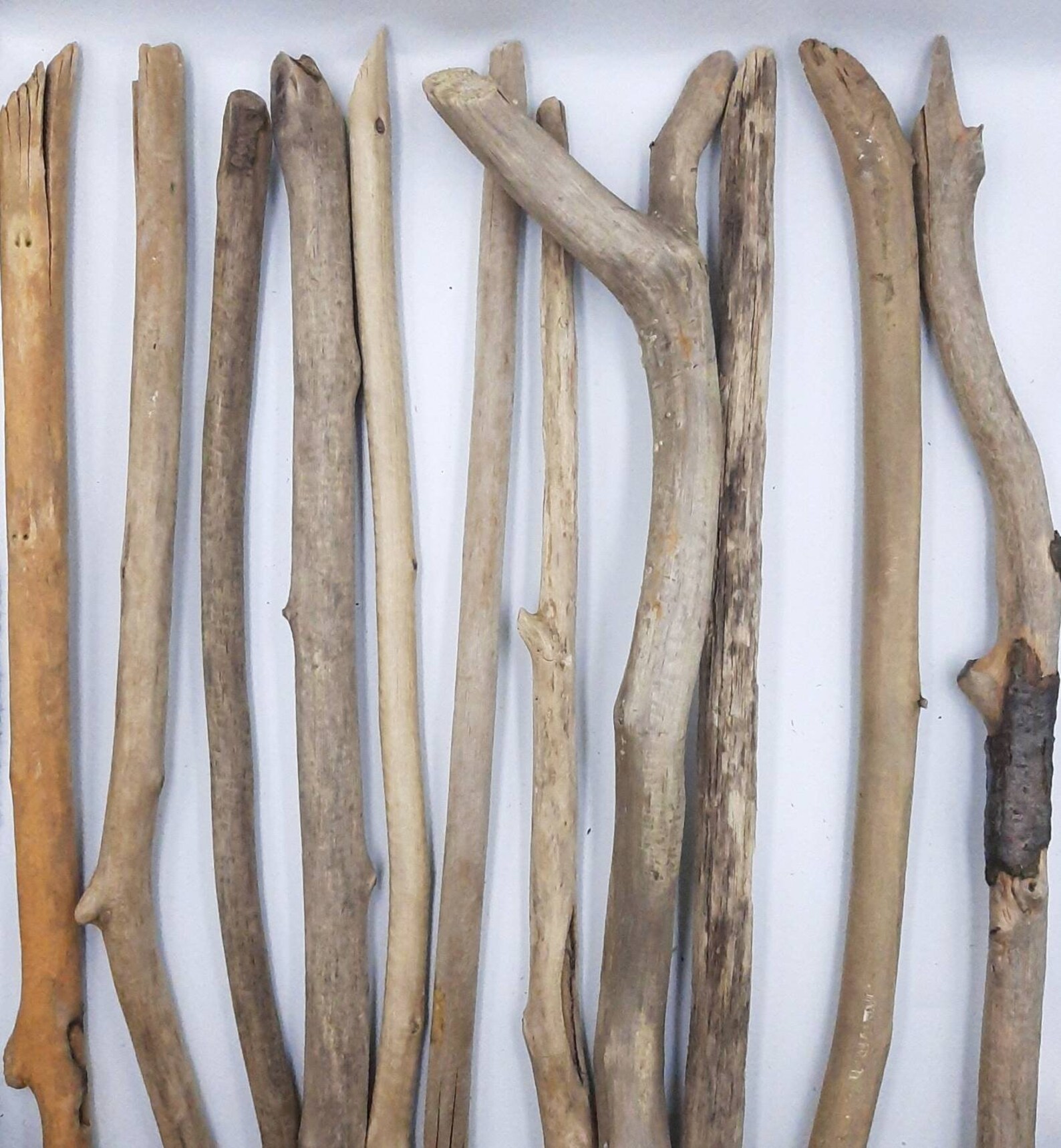 11 Driftwood Sticks 14561929 / 3749 cm Bundle Etsy
