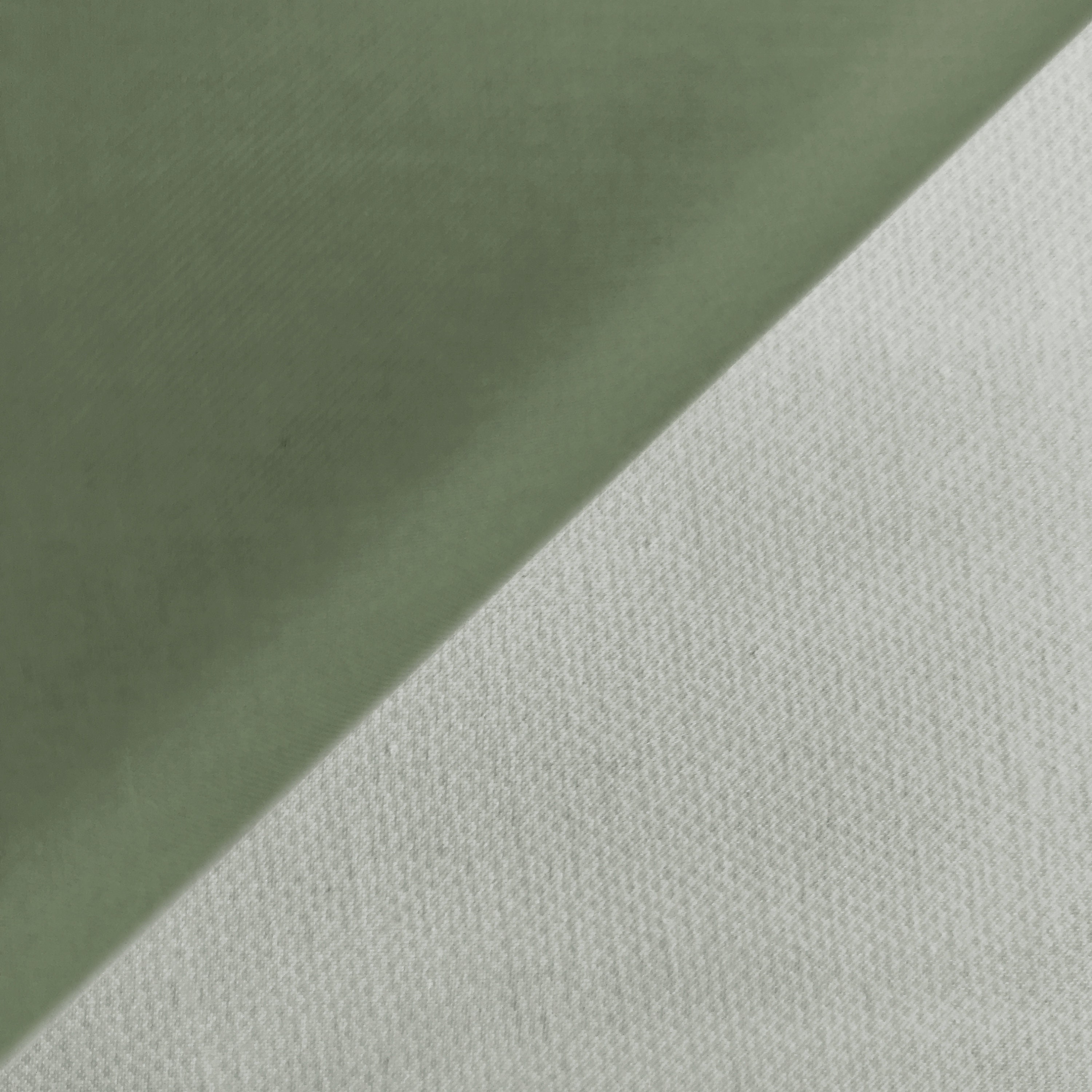 Lemon Grass Green Silk Organza Fabric main image 1