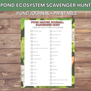 Pond Nature Journal Scavenger Hunt | Educational Activity for Students | Pond Activity | Outdoor Learning | Education Scavenger Hunt