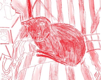 little cat card