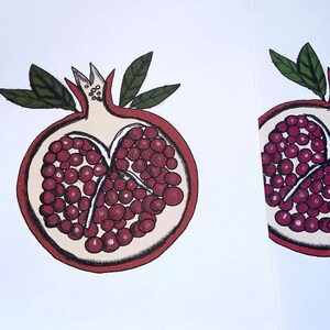 A4 Pomegranate Illustration Print