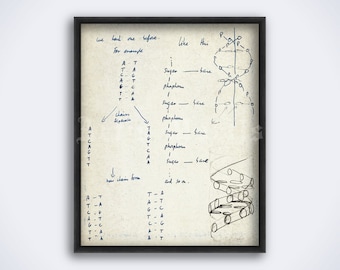 Francis Crick and James Watson DNA structure diagram sketch print, genome, molecular biology, science art, poster (DIGITAL DOWNLOAD)