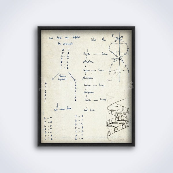 Francis Crick und James Watson DNA Struktur Diagramm Skizzendruck, Biologie, Biologie, Wissenschaft, Poster (DIGITAL DOWNLOAD)