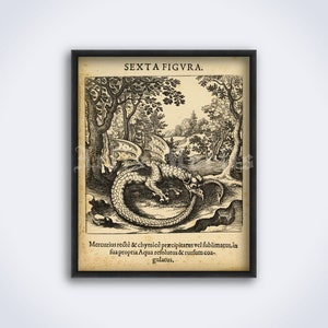 Ouroboros, Serpent eating its tail, alchemical illustration alchemy art, occult print, poster DIGITAL DOWNLOAD image 1