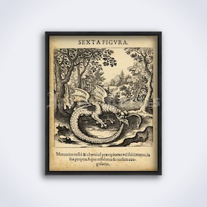 Puede incluir: Una ilustración vintage en blanco y negro de un dragón en un entorno de bosque. La imagen está enmarcada con un borde negro y tiene el texto "SEXTA FIGVRA." y "Mercurius rectè & chymicè præcipitatus vel fublimatus, in sua propria Aqua refolutus & rurfum coagulatus," en la parte inferior.