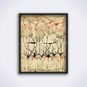 Nerve cells drawing by Camillo Golgi and Santiago Ramon y Cajal, neurons, neuroscience, vintage medical art print, poster (DIGITAL DOWNLOAD)