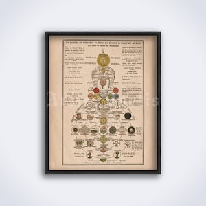 Sophia, wisdom, secret symbols of Rosicrucian, alchemy, hermetic art, kabbalah, mystic print, poster (DIGITAL DOWNLOAD)