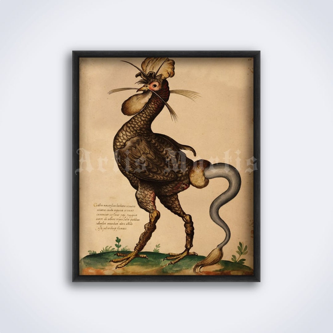 Basilisk Medieval Bestiary Art Rooster Monster Giant Etsy