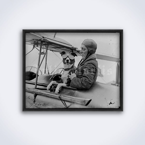 Pilote de chien, aviateur - photo vintage, humour rétro, bizarre, inhabituel, drôle, avion, aviation, impression d’animaux de compagnie, affiche (TÉLÉCHARGEMENT NUMÉRIQUE)