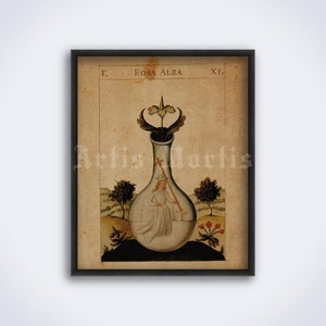 Alchemy art, Dorum Dei XI Rosa Alba, albedo nigredo rubedo, philosopher&#39;s stone, alchemical print, poster (DIGITAL DOWNLOAD)