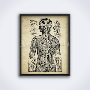 Nervensystem Diagramm, Struktur des Menschen – Buch des Lebens, Dr. Sivartha, Esoterik Druck, Poster (DIGITAL DOWNLOAD)