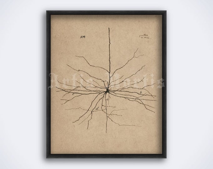 20 Human Skeleton Drawings, Medical Wall Art Set, Printable Abstract ...