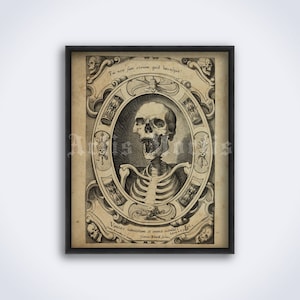 Laughing Skeleton, Vanitas skull – memento mori, medieval death art, print, poster (DIGITAL DOWNLOAD)