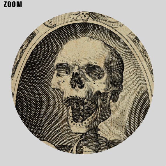 洋書 Le livre des vanités (ヴァニタス) スカル・骸骨 洋書 Le livre des vanités (ヴァニタス) スカル・骸骨 洋書 Le