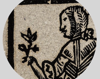 植物を持つ魔女、魔術、呪文、黒魔術 - 中世の木版画、ポスター