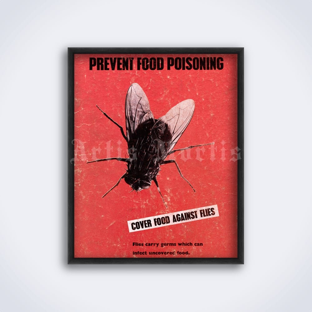 Prevent Food Poisoning, Cover Food Against Flies, Fly Art