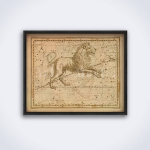 Leo zodiacal constellation, Lion, vintage astronomy, astrology, zodiac sign, horoscope art print, poster (DIGITAL DOWNLOAD)
