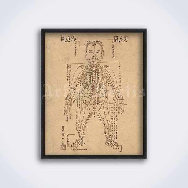 Acupuncture points diagram, human body map, vintage traditional Chinese medicine print, antique medical art, poster (DIGITAL DOWNLOAD)