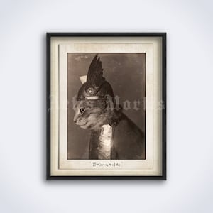 Cat Viking in warrior helmet - Brunnhilde - vintage photo, weird, funny, humor, pet, print, poster (DIGITAL DOWNLOAD)