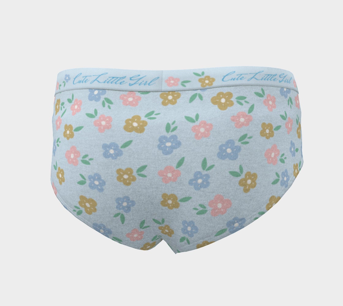 Cherry Blossom Hipster Floral Panties for Women, Xs-xl/custom Sizes Womens  Underwear, Kawaii Pastel Lingerie Panties Explore Now -  Canada