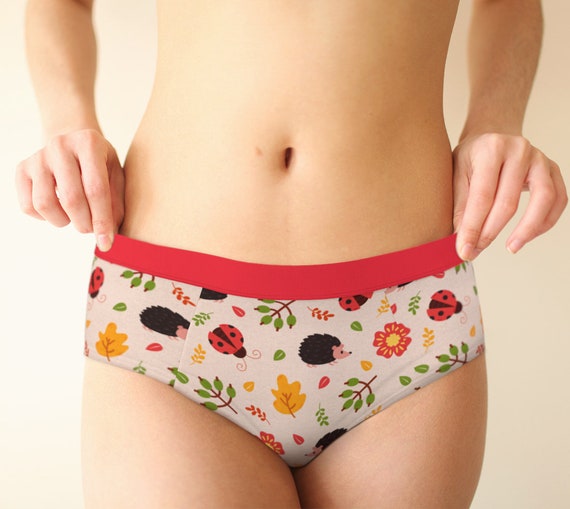 Ladybug Print Retro Cheeky Hipster Panties for Women, Xs-xl/custom Sizes  Womens Underwear, Sexy Cute Lingerie Panties Explore Now 