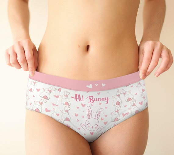 Pink Bunny Mid Waist Hipster Panties for Women, Xs-xl/custom Sizes Womens  Underwear, Rabbit Cute Lingerie Panties, Easter Gifts Explore Now 