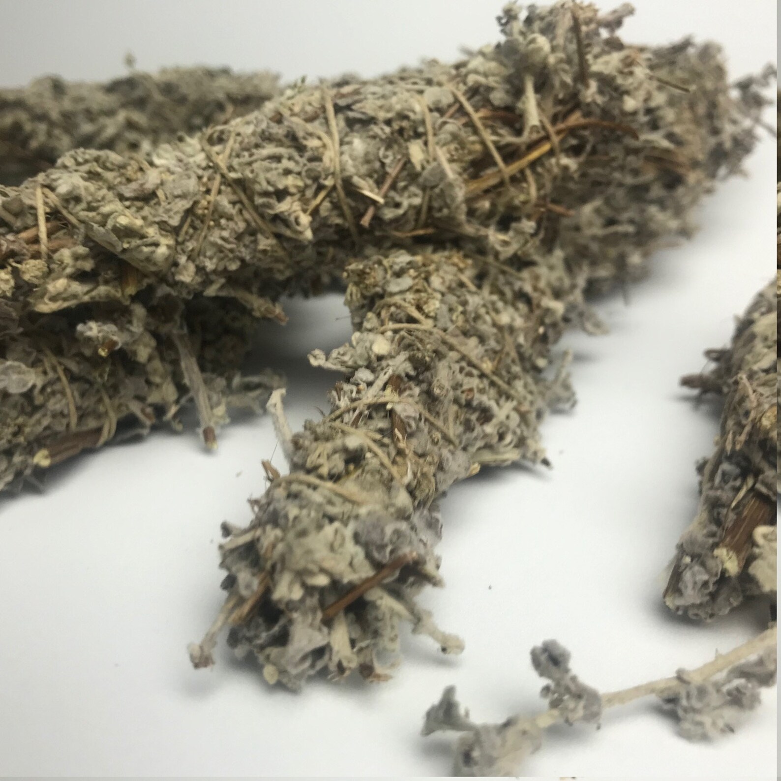 African Sage Imphepho Herb Bundle Mini Etsy