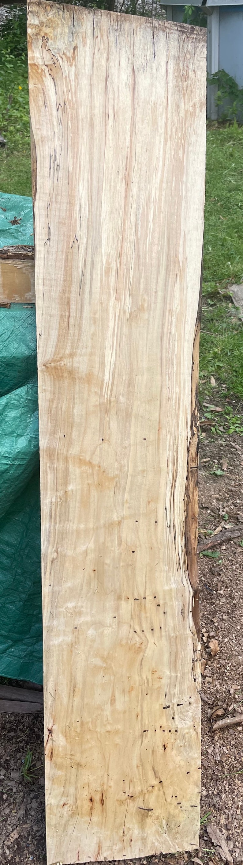 Maple shops slab #1322