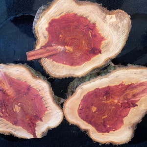 Cedar cookies (3 pieces) #1479