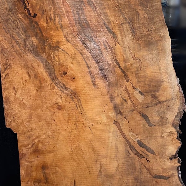 Ambrosia (wormy) maple slab #1749