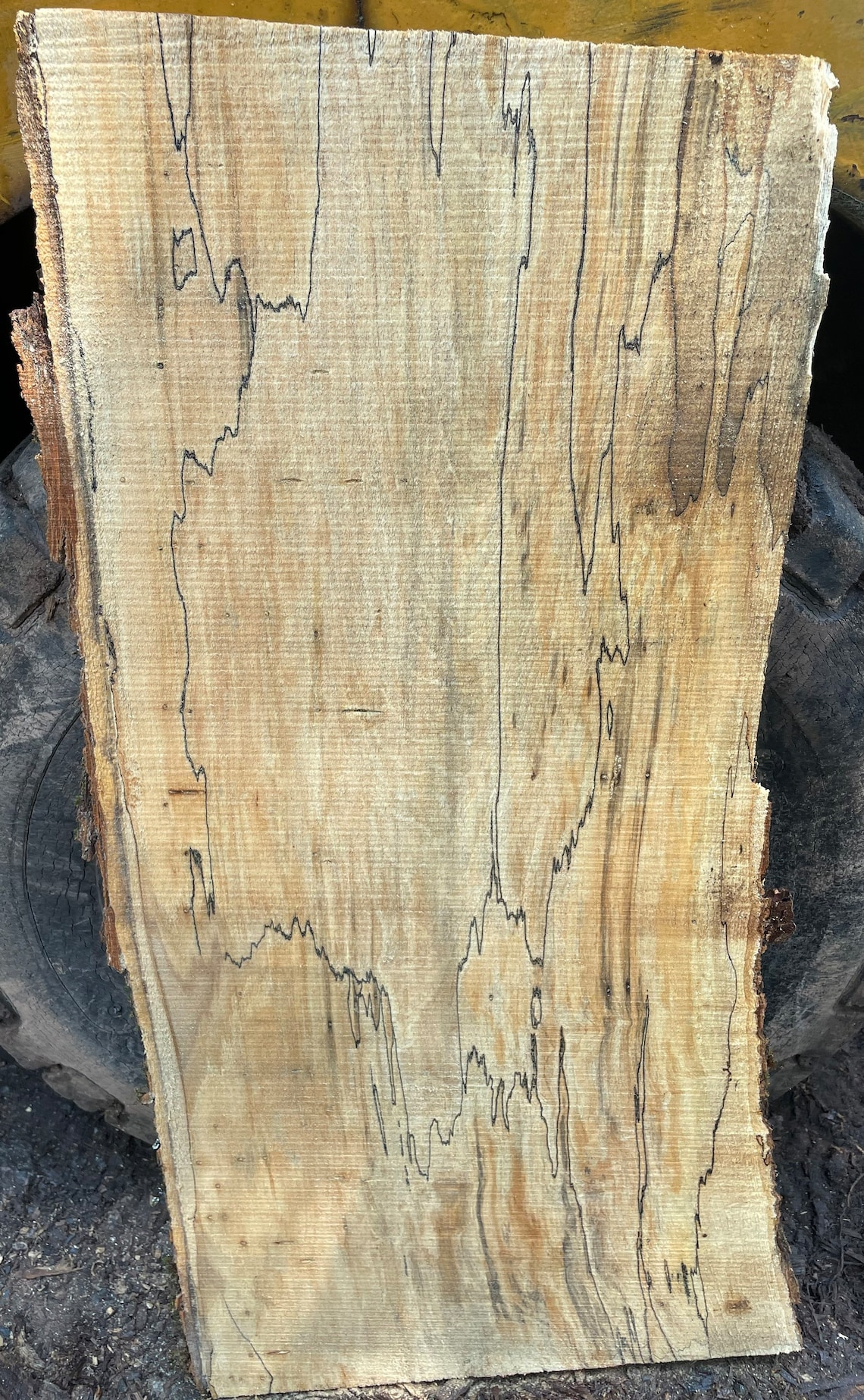 Spalted Maple Slab 1327 Etsy