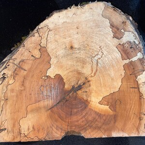 Thick-cut spalted maple turning blank #1349