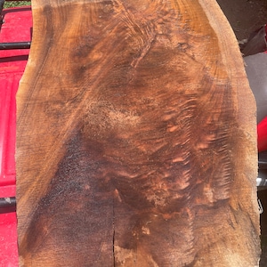 Curly walnut slab #1304