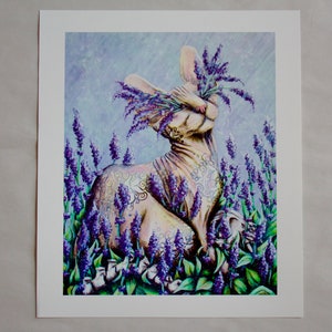 K&ouml;nnte beinhalten: Eine rosa haarlose Katze mit komplizierten T&auml;towierungen sitzt in einem Feld mit Lavendelbl&uuml;ten. Die Katze schaut nach oben und hat Lavendelbl&uuml;ten auf dem Kopf. Der Hintergrund ist helllila.