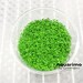 Dwarf Baby Tears Tissue Culture Freshwater Live Aquarium Plant POPULAR CHOICE