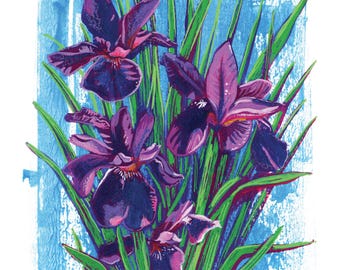 Spring Iris Flowers, Sketchbook Floral Art Print, Traditional Watercolor and Acrylic Painting