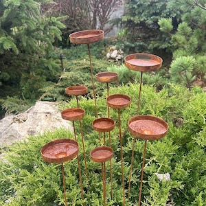 Rain catcher outdoor garden decor, Rusty flower garden stakes, Yard Art, Bees Feeder