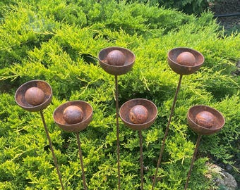 Rusty Flowers Set of 6 Stakes, Metal Garden Decorations, Outdoor Rain catchers