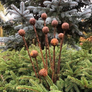 Rusty flower buds set of 10, Garden stakes garden decor, Metal garden decor, Metal sculpture, Outdoor metal decor, Rusty metal rain catchers