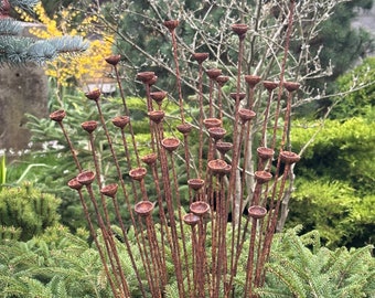 Rusty flower buds set of 40, Garden stakes garden decor, Metal garden decor, Metal sculpture, Outdoor metal decor, Rusty metal rain catchers