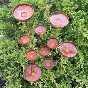 Rain catcher outdoor garden decor, Rusty flower garden stakes, Yard Art, Bees Feeder