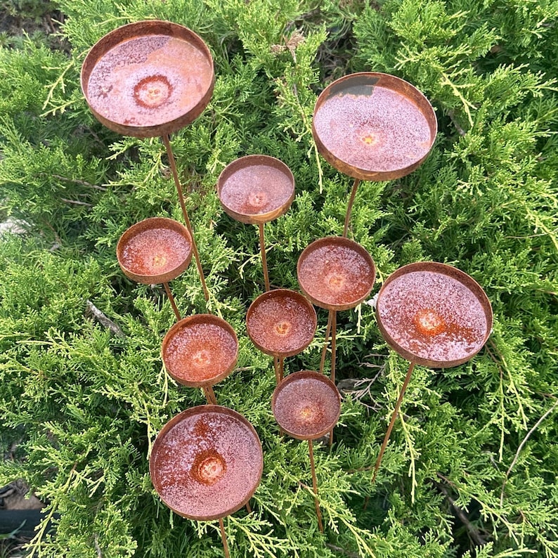 Rain catcher outdoor garden decor, Rusty flower garden stakes, Yard Art, Bees Feeder