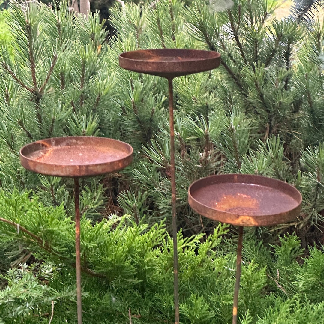 Bird Bath Outdoor Garden Decor, Rusty Flower Garden Stakes, Bird Bath Etsy