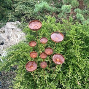 Rain Catcher Outdoor Garden Decor, Rusty Flower Garden Stakes, Yard Art, Bee Feeder, Rustic Metal Bowl for Birds and Pollinators