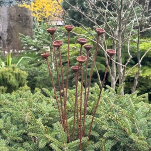 Rusty flower buds set of 10, Garden stakes garden decor, Metal garden decor, Metal sculpture, Outdoor metal decor, Rusty metal rain catchers