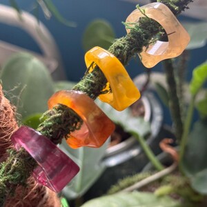Rip Tide Rings  - Natural Colors