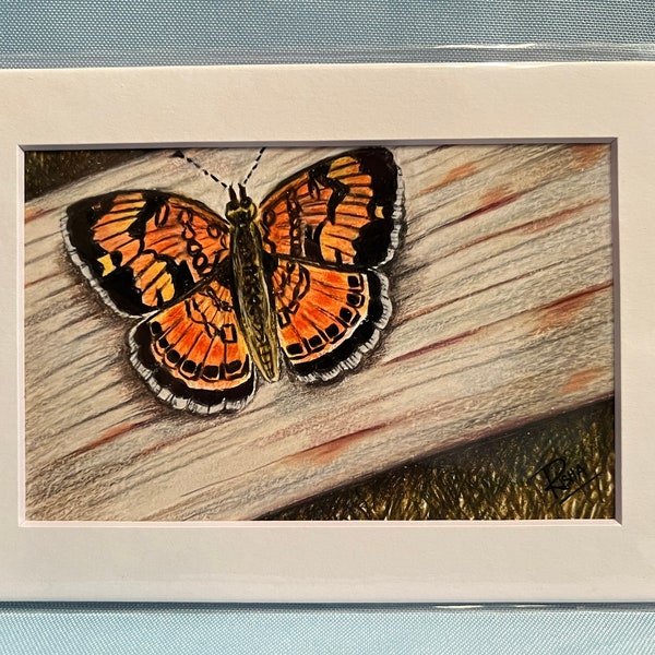 Door County Butterfly Fine Art Print - 4x6" print matted to 5x7"