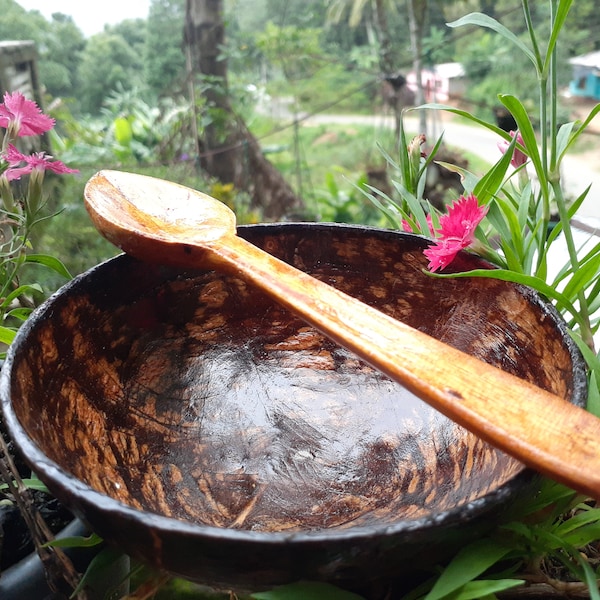 Coconut Shell Bowl & Spoon Set Soup, Food, Rice Handcraft Kitchen Dining