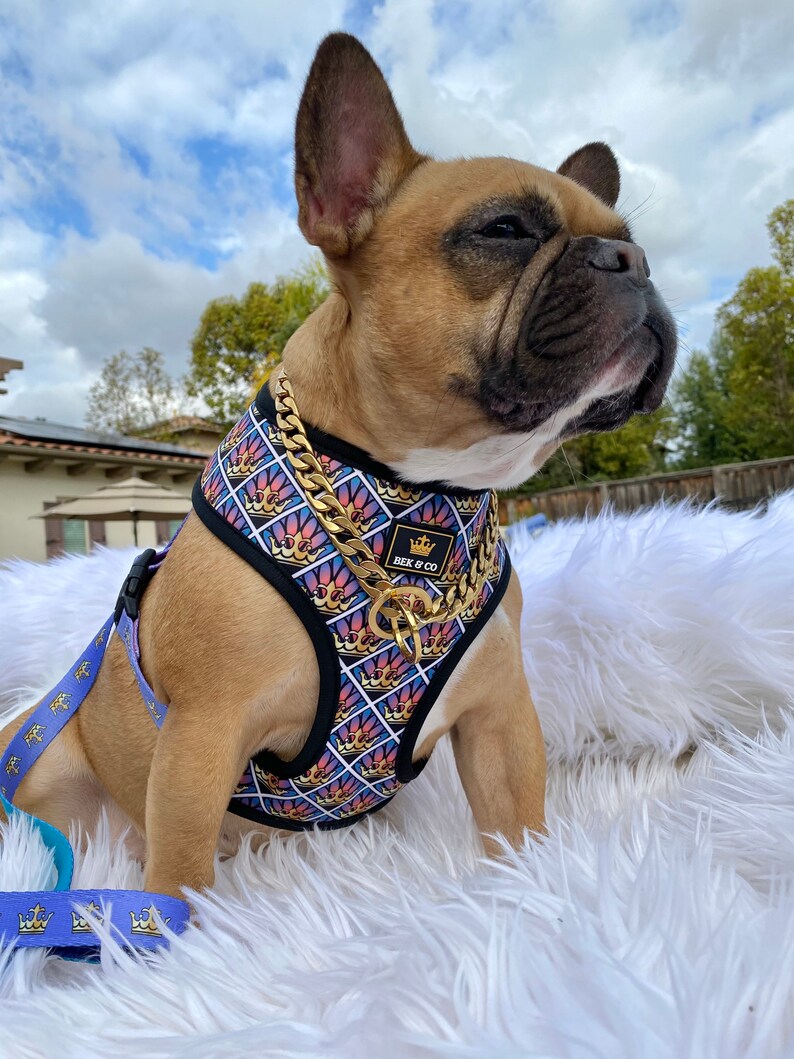 french bulldog reversible harness